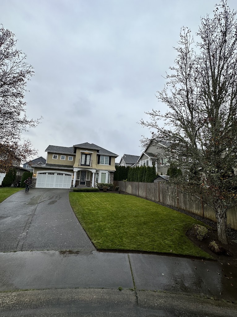 Clean front lawn on a rainy day